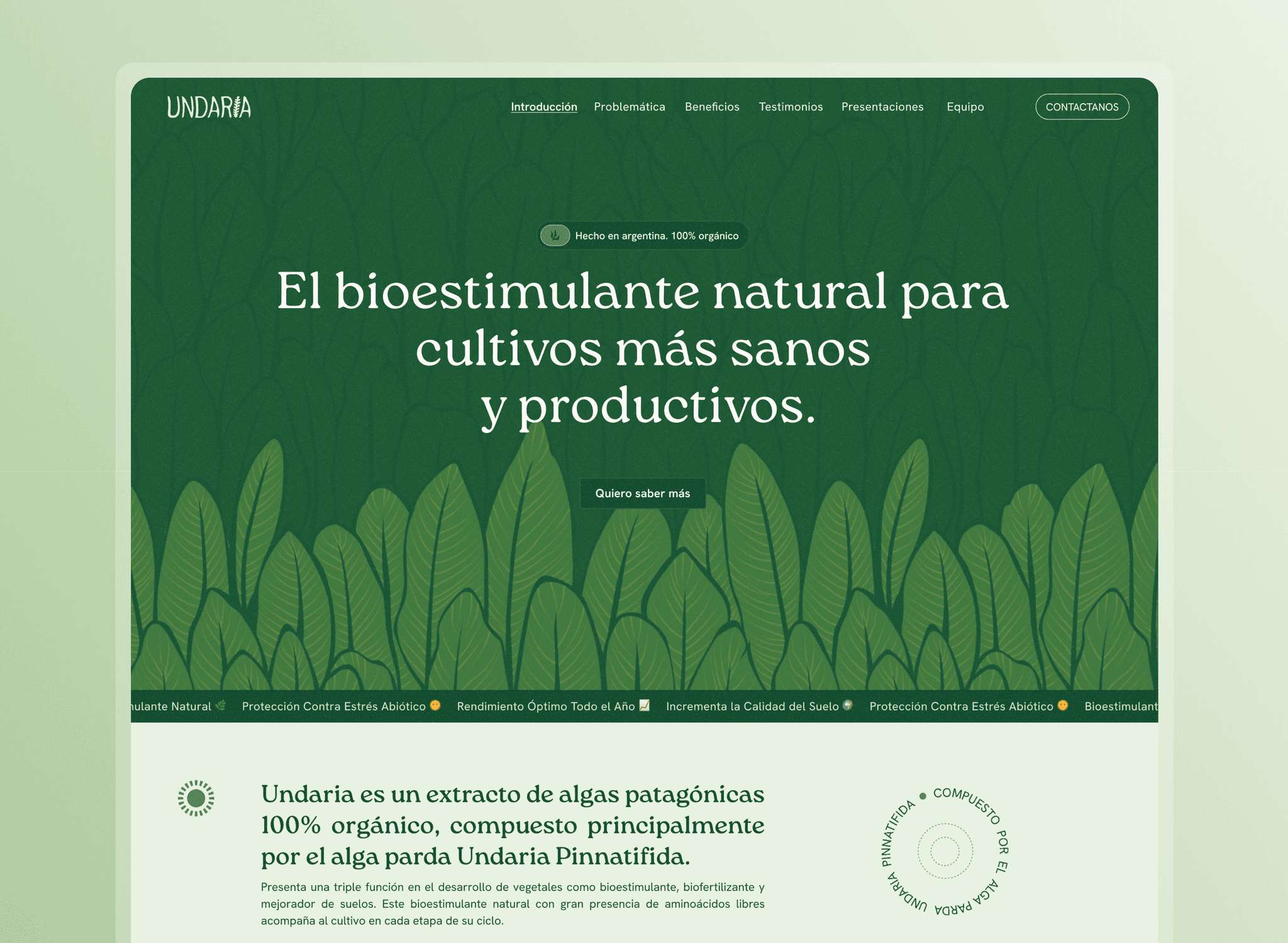 Undaria homepage overview